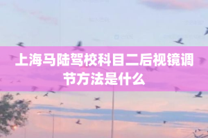 上海马陆驾校科目二后视镜调节方法是什么