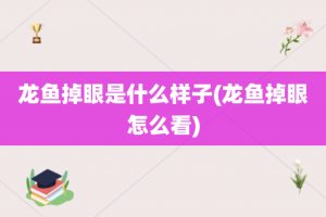 龙鱼掉眼是什么样子(龙鱼掉眼怎么看)