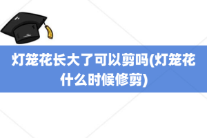 灯笼花长大了可以剪吗(灯笼花什么时候修剪)