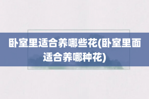 卧室里适合养哪些花(卧室里面适合养哪种花)