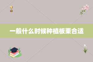 一般什么时候种植板栗合适