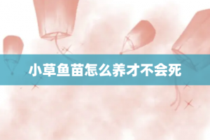 小草鱼苗怎么养才不会死