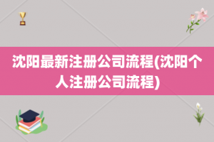 沈阳最新注册公司流程(沈阳个人注册公司流程)