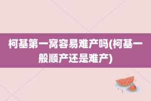 柯基第一窝容易难产吗(柯基一般顺产还是难产)