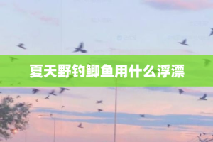 夏天野钓鲫鱼用什么浮漂