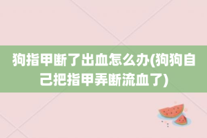 狗指甲断了出血怎么办(狗狗自己把指甲弄断流血了)