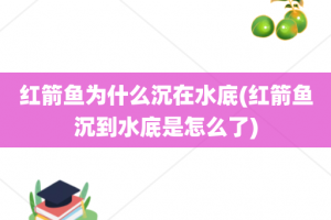 红箭鱼为什么沉在水底(红箭鱼沉到水底是怎么了)
