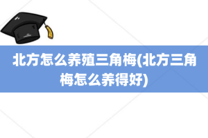 北方怎么养殖三角梅(北方三角梅怎么养得好)