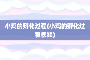 小鸡的孵化过程(小鸡的孵化过程视频)