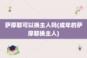 萨摩耶可以换主人吗(成年的萨摩耶换主人)