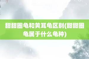甜甜圈龟和黄耳龟区别(甜甜圈龟属于什么龟种)