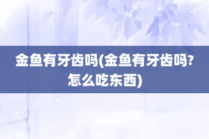 金鱼有牙齿吗(金鱼有牙齿吗?怎么吃东西)