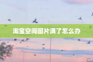 淘宝空间图片满了怎么办