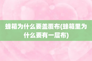 蜂箱为什么要盖覆布(蜂箱里为什么要有一层布)