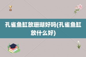 孔雀鱼缸放珊瑚好吗(孔雀鱼缸放什么好)