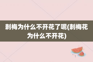 刺梅为什么不开花了呢(刺梅花为什么不开花)