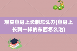 观赏鱼身上长刺怎么办(鱼身上长刺一样的东西怎么治)