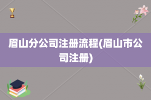 眉山分公司注册流程(眉山市公司注册)