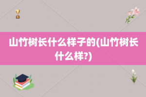 山竹树长什么样子的(山竹树长什么样?)