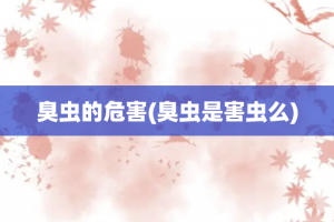 臭虫的危害(臭虫是害虫么)