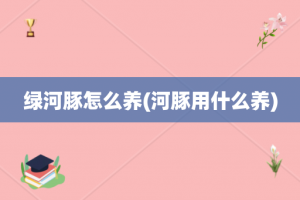 绿河豚怎么养(河豚用什么养)