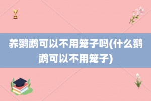 养鹦鹉可以不用笼子吗(什么鹦鹉可以不用笼子)