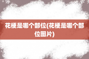 花梗是哪个部位(花梗是哪个部位图片)
