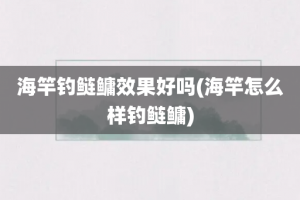 海竿钓鲢鳙效果好吗(海竿怎么样钓鲢鳙)