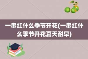 一串红什么季节开花(一串红什么季节开花夏天耐早)