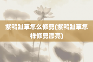 紫鸭趾草怎么修剪(紫鸭趾草怎样修剪漂亮)