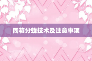 同箱分蜂技术及注意事项