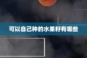 可以自己种的水果籽有哪些