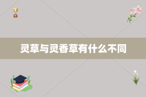 灵草与灵香草有什么不同