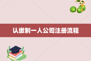 认缴制一人公司注册流程