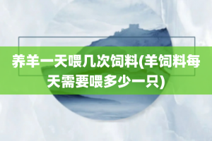 养羊一天喂几次饲料(羊饲料每天需要喂多少一只)