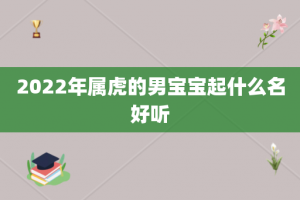 2022年属虎的男宝宝起什么名好听