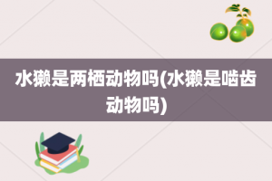 水獭是两栖动物吗(水獭是啮齿动物吗)