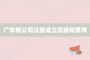 广东新公司注册成立流程和费用