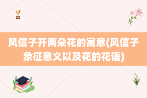 风信子开两朵花的寓意(风信子象征意义以及花的花语)