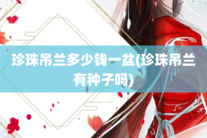 珍珠吊兰多少钱一盆(珍珠吊兰有种子吗)