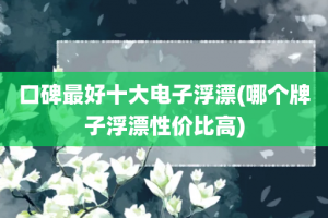 口碑最好十大电子浮漂(哪个牌子浮漂性价比高)