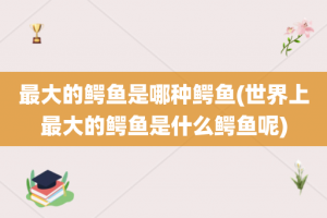 最大的鳄鱼是哪种鳄鱼(世界上最大的鳄鱼是什么鳄鱼呢)