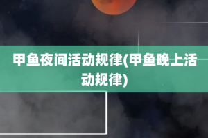 甲鱼夜间活动规律(甲鱼晚上活动规律)
