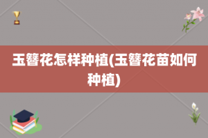 玉簪花怎样种植(玉簪花苗如何种植)