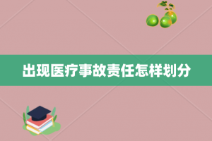 出现医疗事故责任怎样划分