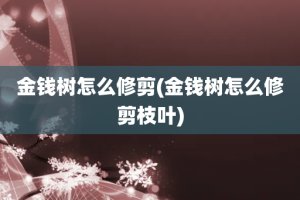 金钱树怎么修剪(金钱树怎么修剪枝叶)