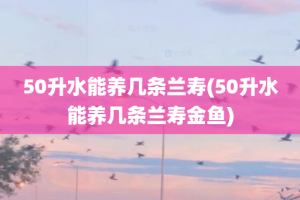 50升水能养几条兰寿(50升水能养几条兰寿金鱼)