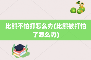 比熊不怕打怎么办(比熊被打怕了怎么办)