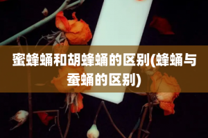 蜜蜂蛹和胡蜂蛹的区别(蜂蛹与蚕蛹的区别)