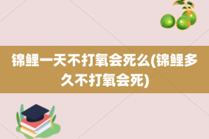 锦鲤一天不打氧会死么(锦鲤多久不打氧会死)